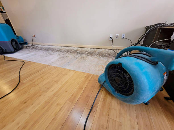 Professional Sewage Cleanup technician working in Blacksburg, SC